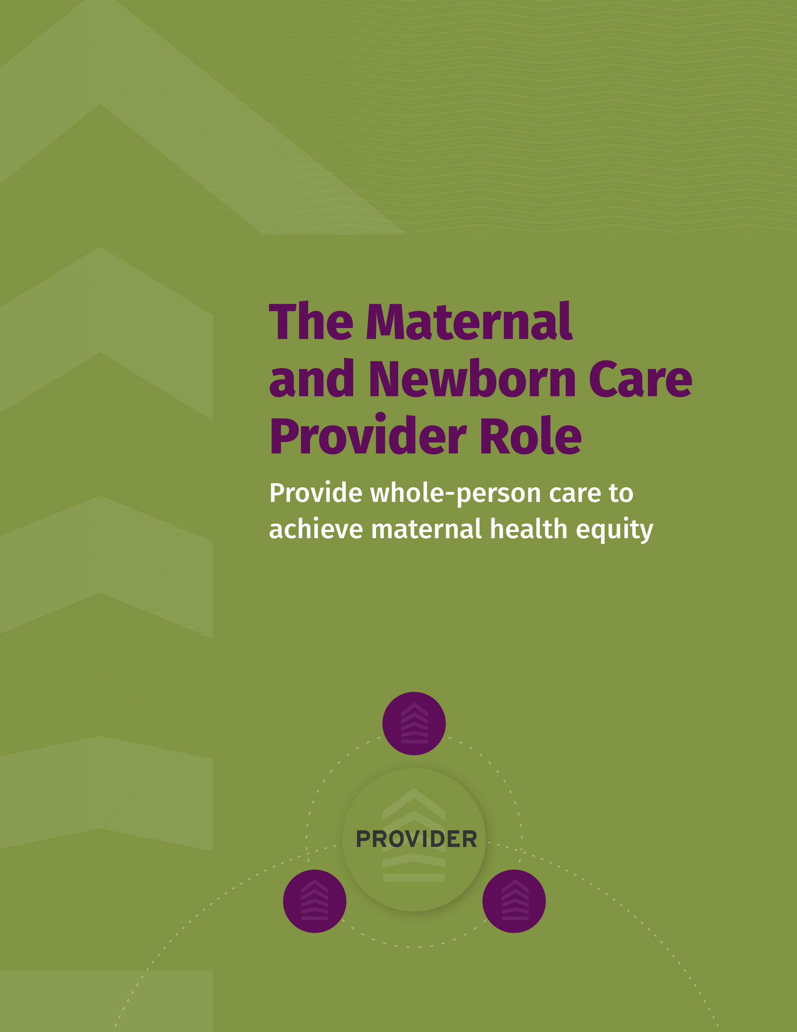 The Maternal and Newborn Care Provider Role