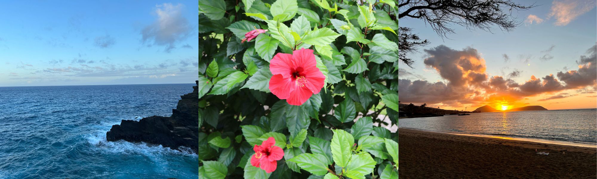 The left side picture is the Pacific Ocean landscape with gray rocks on the right side of the image. The sky is light blue with clouds. The middle picture is of a red hibiscus flower with light and dark green leaves surrounding it. There is a wilting red hibiscus in the upper left corner and a blooming hibiscus in the lower left corner. The right side picture is of the sunrise over the Pacific Ocean with mountains in the background.