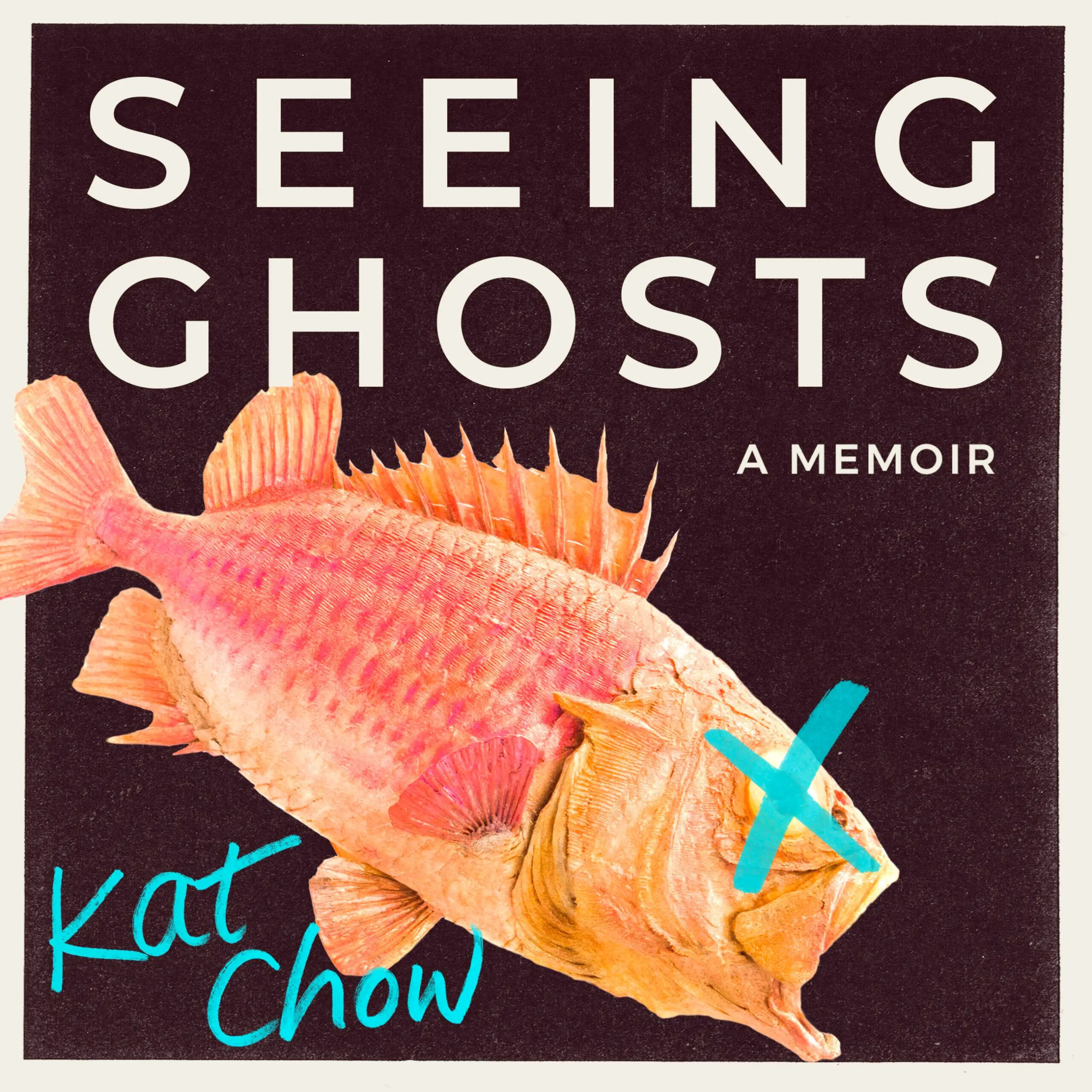 Book cover: Seeing Ghosts by Kat Chow